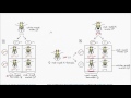 thomas hunt morgan and fruit flies