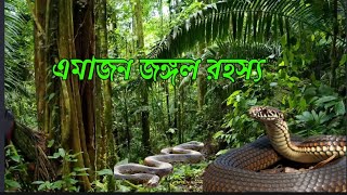 অ্যামাজন জঙ্গল রহস্য