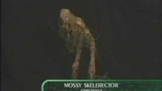 CHR2004   MOSSY SKELERECTOR