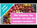 🍅🍅🍅 LISTE DE MES 🍅 + LES 3 MEILLEURS SITE BELGE 🍅🍅🍅