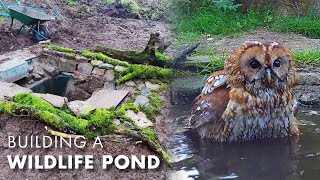 I Built a Wildlife Pond... and so Many Animals Came! | Wildlife Habitats | Robert E Fuller