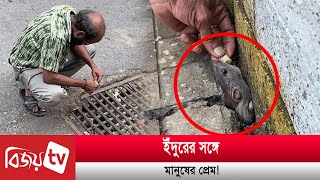 ইঁদুরের সঙ্গে মানুষের প্রেম! Bijoy TV