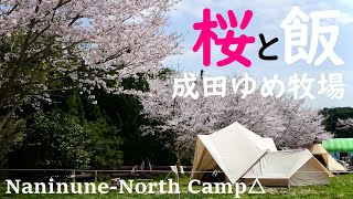 お花見キャンプ【成田ゆめ牧場】満開の桜の下で過ごすチルキャンプ。春のお花見料理 。キャンプ飯は手毬寿司と松坂牛のステーキとおいなりさん。nordisk/midgard9.2/vimur4.8 。