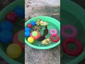 cute yellow ducklings swimming កូនទាលេងទឹក