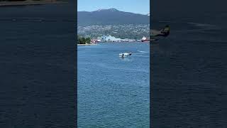 Float plane at Coal Harbour #shorts #canada #vancouver #floatplane #plane #カナダ #バンクーバー #水上飛行機