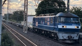 【７両目にコキ104-1有り！・クリーンかわさき号】JR貨物EF210形100番台117号機（新塗装）＋コキ19両が川崎新町駅1番線を通過！（153レ・新A259・コンテナ輸送）2024.11.9