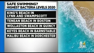 'Potentially Unsafe': Report Shows Fecal Contamination At Massachusetts Beaches