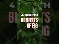 4 Health Benefits of Fig #healthyfood #health #healthy #food