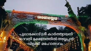 #ചേലക്കര പുലാക്കോട് ശ്രീ കാർത്ത്യായനി ഭഗവതി ക്ഷേത്രത്തിൽ അയ്യപ്പൻ വിളക്ക് മഹോത്സവം...