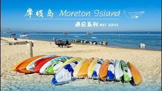 澳洲摩顿岛精彩三日游攻略：喂海豚、浮潜、滑沙等。The best quality video of Moreton Island