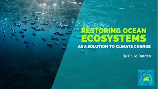 Restoring Ocean Ecosystems as a Solution to Climate Change