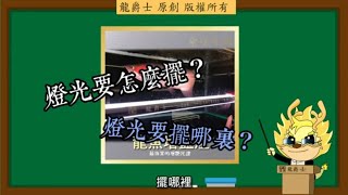 【龍爵士】龍魚百科 燈光位置