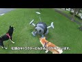 【キャンピングカー】犬連れキャンピングカー旅　浜松餃子と浜松ガーデンパークと弁天島海浜公園