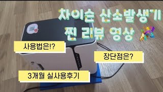 차이슨 산소발생기 3개월 사용 후기 / #강아지산소방 #강아지심장병 #환견 #환묘 #아픈강아지 #산소방 #산소방대여 #산소방후기 #차이슨 #YU300 #YU300S #차이슨산소