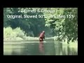 video of the michigan bigfoot crossing river with infant sasquatch shorts