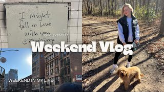 VLOG | Cooking, shopping, and catching up!