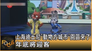 上海迪士尼「動物方城市」園區來了 年底將迎客｜秦綾謙｜FOCUS全球新聞 20230906@tvbsfocus