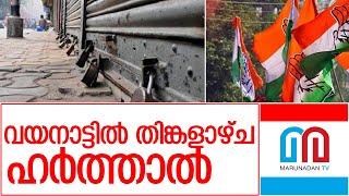 വയനാട്ടില്‍ തിങ്കളാഴ്ച യുഡിഎഫ് ഹര്‍ത്താല്‍ l Wayanad  UDF