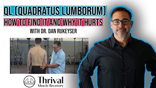 How to locate the QL muscle  |  Why the Quadratus Lumborum is painful - with Dr. Dan Rukeyser