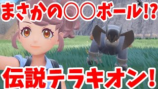 【ポケモンSV】伝説のテラキオンを捕獲せよ！まさかのボールで初捕獲！？【ポケモンスカーレットバイオレット・ゼロの秘宝】