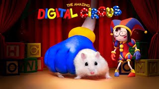 Hamster in the Digital Circus 🤡 Garten Of Banban 💀 Rainbow Friends 🐹 Poppy Playtime