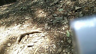 Live video 2017/07/09 11:24:50