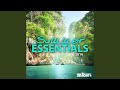 Tigon (Original Mix)