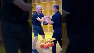 Wing Chun, the King of Close Combat #kungfu #wingchun