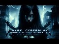 Dark Cyberpunk / Futuristic / Electronica Mix - The Enigma TNG