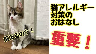 サイベリアン【ダル】猫アレルギー対策　猫アレルギーでも猫と暮らしたい