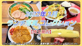 【2022年3月のランチ写真コレクション】ジャンクガレッジ狭山店､くるまやラーメン新座店､美津木屋 志木市上宗岡､ASOKA FAST FOOD川越市霞ヶ関､のびのびロール ニューアマンド新座市西堀店