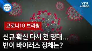 [코로나19 브리핑] 신규 확신 다시 천 명대…변이 바이러스 정체는? / YTN 사이언스