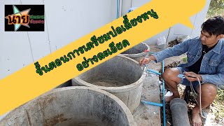 ขั้นตอนการเตรียมบ่อเลี้ยงหนู | นายธนาคารบ้านนอก