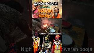 Night pooja for muniswaran @Mahavarahiillam #varahisiddhar #varahipoojai #sandiego