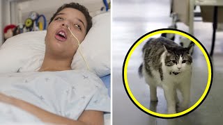 Dying Man Says Final Goodbye To His Cat, But  What The Cat Does Next Will Make You Cry!