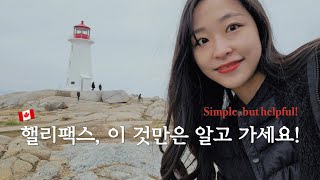 핼리팩스 가시나요? 이 영상 꼭 보세요! | 사소한 꿀팁 가득 🍯 | 캐나다 이민 | 핼리팩스 이민 | 핼리팩스 주이동