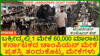 ಬಕ್ರೀದ್ ನಲ್ಲಿ ಒಂದು ಮೇಕೆ 60,000₹ ಮಾರಾಟ | ಚಾಂಪಿಯನ್ ಪ್ರಶಸ್ತಿ ತಂದುಕೊಟ್ಟ ಮೇಕೆಗಳು Jamnapari Goat Farming