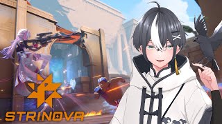 【#Strinova】相方と夜更かしチャンネル【#新人Vtuber/#烏丸のあそびば】