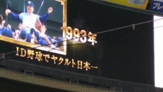 ナゴヤドーム中日広島試合開始前２０１７年４月６日