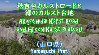 秋吉台カルストロードと緑のカルスト台地（山口県）Akiyoshidai Karst Road and Green Karst Plateau (Yamaguchi Pref.)