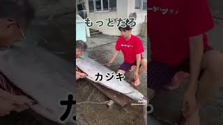 釣ったカジキを捌くところだよ😆#shorts