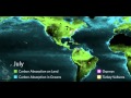Why Do Birds Migrate? | California Academy of Sciences