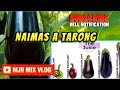 Naimas a tarong/Ilocano funny songs 2023/mjr mix vlog