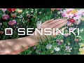 O Sensin Ki - Maher Zain & Mustafa Ceceli (Turkish version) + slowed