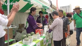 県西地域の農畜産物や加工品をＰＲ　「いばらきを食べよう！県西うまいもんフェア」