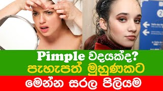 කුරුලෑ එනවනම් මේ සරල දේ කරලා බලන්න | How to Get Rid of Acne Pimple Home remedy - Raja Fm