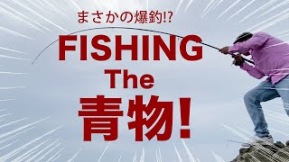 【釣り】青物 狙いに 磯場 に行ってみたらまさかのあれが爆釣!!