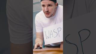 Dealing with an Australian Wasp