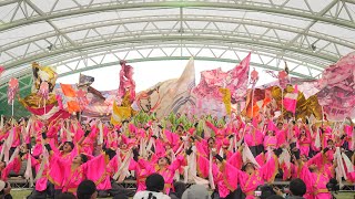 [4K] 京都よさこい連 心粋 【ファイナル演舞】　おんさいEXPO 2024