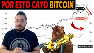 😡28.000 BITCOIN CAUSARON la CAIDA del PRECIO,😡SIGO ALCISTA en QUANTFURY🚀🚀🚀